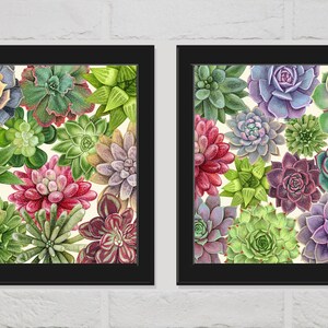 Succulent Plant Print Botanical Wall Art Set of 2 Prints Beautiful Green Purple Pink Cactus Illustration Home Room Decor to Frame CM