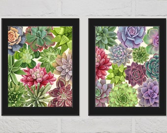 Succulent Plant Print Botanical Wall Art Set of 2 Prints Beautiful Green Purple Pink Cactus Illustration Home Room Decor to Frame CM