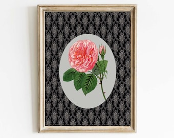 Impresión artística de pared con rosas rosas, estilo coqueto, vintage, antiguo, victoriano, gótico, elegante, romántico, clásico, decoración del hogar, diseño de interiores para enmarcar FFG21
