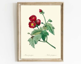 Impresión artística de pared con flores de color rojo malva, carmesí y burdeos, de Joseph Redoute, estilo antiguo vintage, para jardín, regalo natural, decoración del hogar, para enmarcar, RFL3