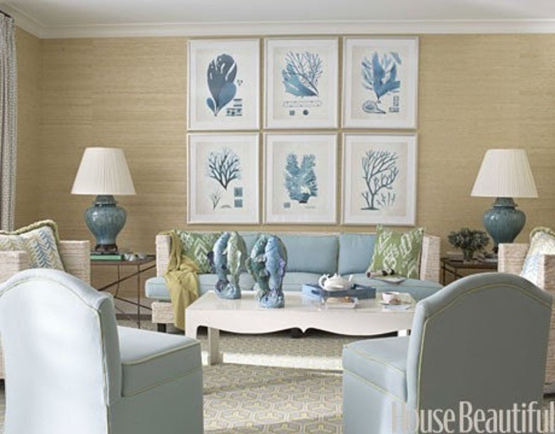 CORAL PRINT Ellis Art Print 17 Beautiful Antique Sea Ocean Blue Coral Nature to Frame Home Decoration Wall Hanging