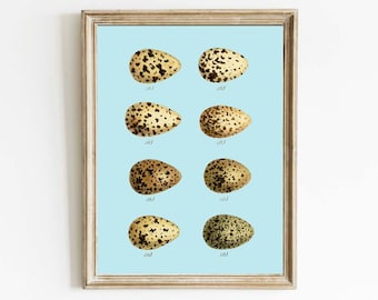 Impresión o descarga de arte de pared vintage con huevos de pájaro azul bebé, cabaña rústica antigua, casa de campo moderna, decoración de cabaña de lago para enmarcar PCD24