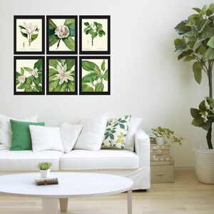 White Magnolia BOTANICAL Print SET of 6 Prints Antique Vintage - Etsy