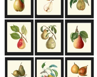 Juego de 9 impresiones de arte de pared con diseño de pera, para comedor, cocina, estilo rústico, granja, vintage, antiguo, jardín, naturaleza, decoración del hogar, para enmarcar, PGG