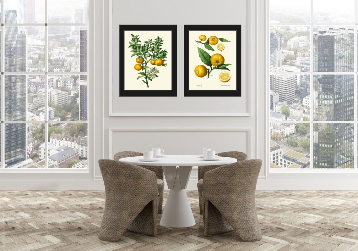 Orange Tree Botanical Wall Art Set of 2 Prints Beautiful Etsy