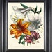 see more listings in the BOTANICAL PRINTS section