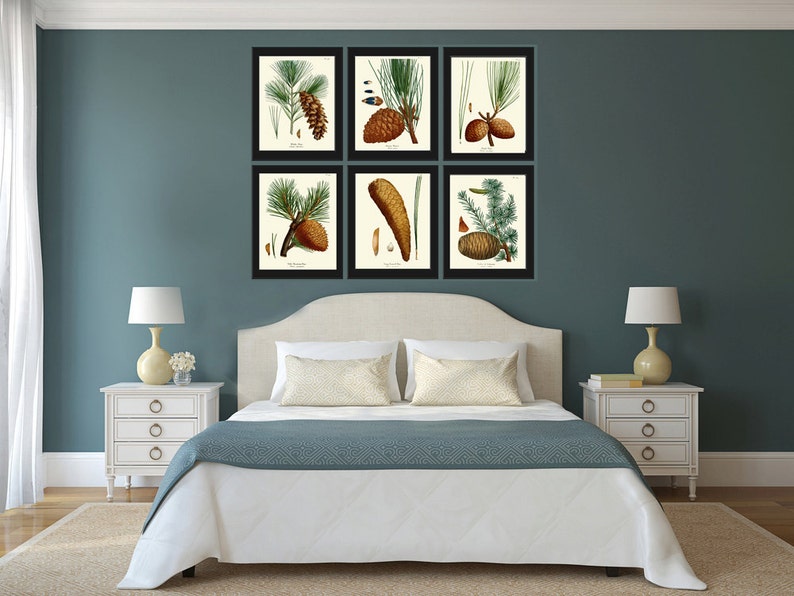 BOTANICAL Print SET of 6 Art Prints Redoute Antique Pinecone Pine Tree Green Forest Nature Living Bedroom Home Room Wall Decor to Frame image 3
