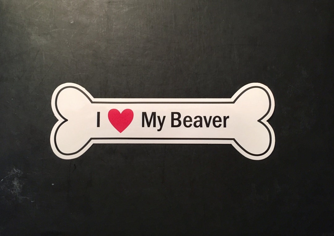 I Heart My Beaver Bumper Sticker - White, Bone-shaped (I Love My Beaver ...