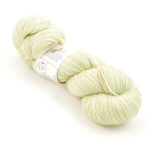 May include: A skein of pale green yarn, with a white label that reads "The Loopy Ewe - Superwash Merino - 100g - 420 yards - 100% Superwash Merino Wool - Hand Dyed in the USA - Machine Washable - Made in the USA".