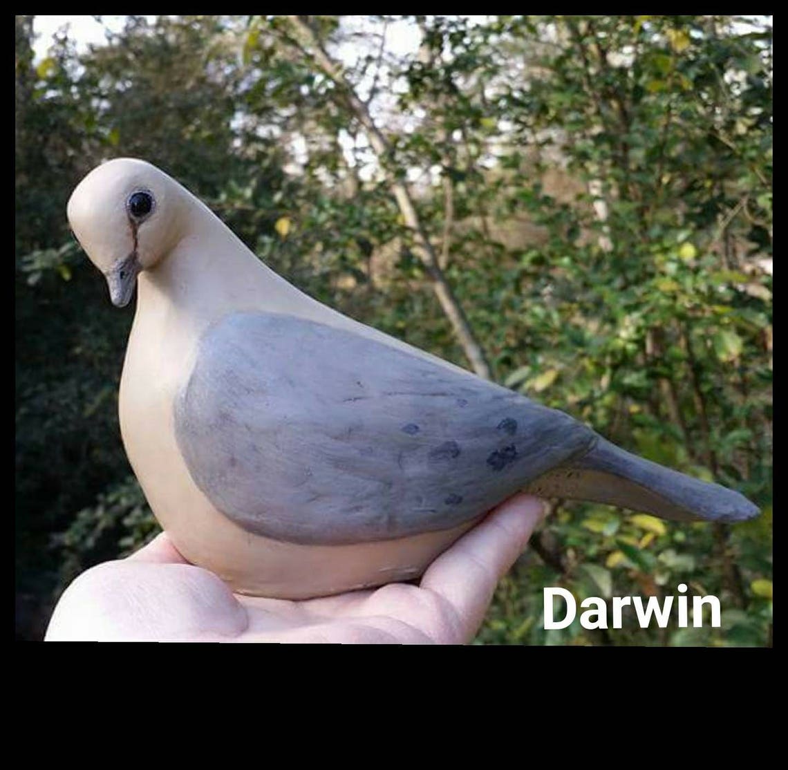 Mourning Dove Pair Darwin & Darcy Handmade Cast Stone Etsy
