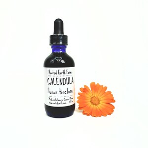 May include: A blue glass bottle with a white label that reads "Rooted Earth Farm Calendula lunar tincture Made with love in Casto, Maine www.rootedearth.com 2 fl oz". A single orange calendula flower is in the foreground.