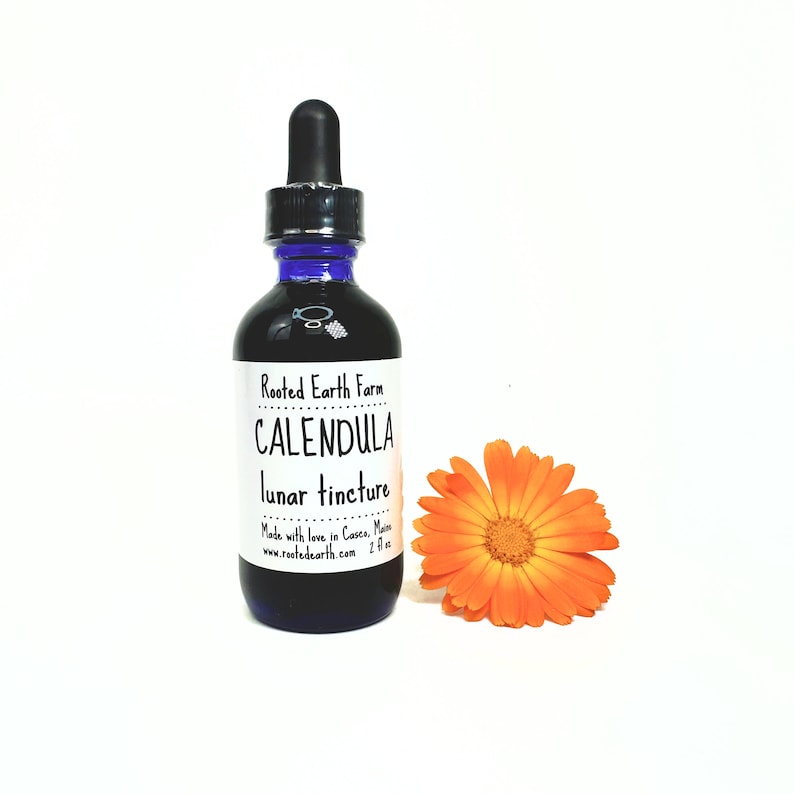May include: A blue glass bottle with a white label that reads "Rooted Earth Farm Calendula lunar tincture Made with love in Casto, Maine www.rootedearth.com 2 fl oz". A single orange calendula flower is in the foreground.
