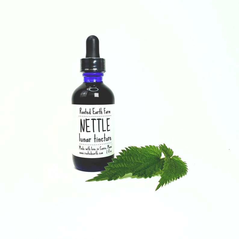 May include: A dark glass bottle with a blue dropper top and a white label that reads "Rooted Earth Farm NETTLE lunar tincture Made with love in Carver, Maine www.rootedearth.com 2 fl oz". A green nettle leaf is in the foreground.