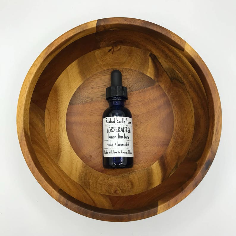 Horseradish Tincture Organic Horseradish Extract Herbal Etsy