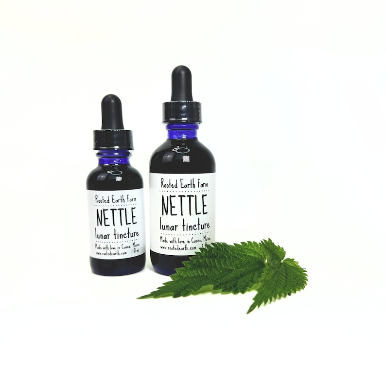 May include: Two glass bottles with blue dropper tops and black labels. The labels read "Rooted Earth Farm" and "NETTLE lunar tincture". The bottles are sitting on a white surface with a green nettle leaf in front of them.