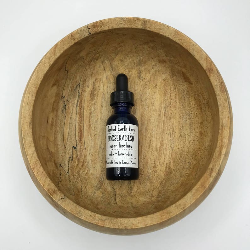 Horseradish Tincture Organic Horseradish Extract Herbal Etsy