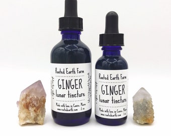 Ginger Tincture, Organic Ginger Extract, Ginger Root Extract, Herbal Tincture, Herbal Extract, Ginger Root Tincture