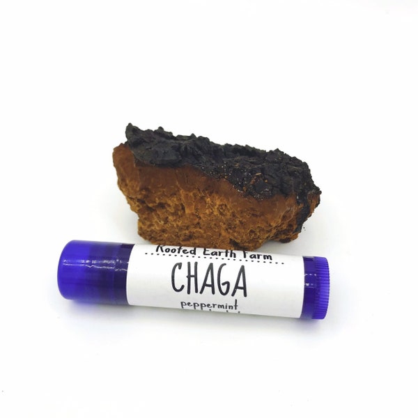 Chaga Lip Balm, Dry Lips, Organic Lip Balm, All Natural Lip Balm, Chaga Mushroom, Organic Skin Care, lipbalm