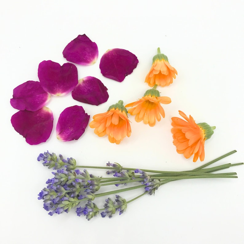 May include: A collection of dried flowers and herbs, including lavender, rose petals, and calendula blossoms. The flowers are arranged in a natural, organic style on a white background.
