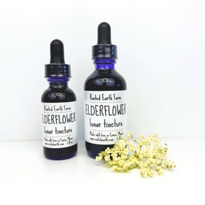 Elderflower Tincture, Organic Elder Flower Tincture, Elderflower Extract, Herbal Tincture, Herbal Extract