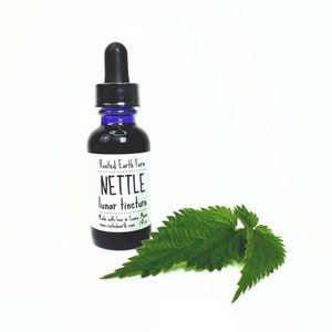 May include: A small glass bottle with a dropper, filled with a dark liquid. The bottle has a white label that reads "Rooted Earth Farm NETTLE lunar tincture Made with love in Casco, Maine www.rootedearth.com 1 fl oz". A green nettle leaf is in the foreground.