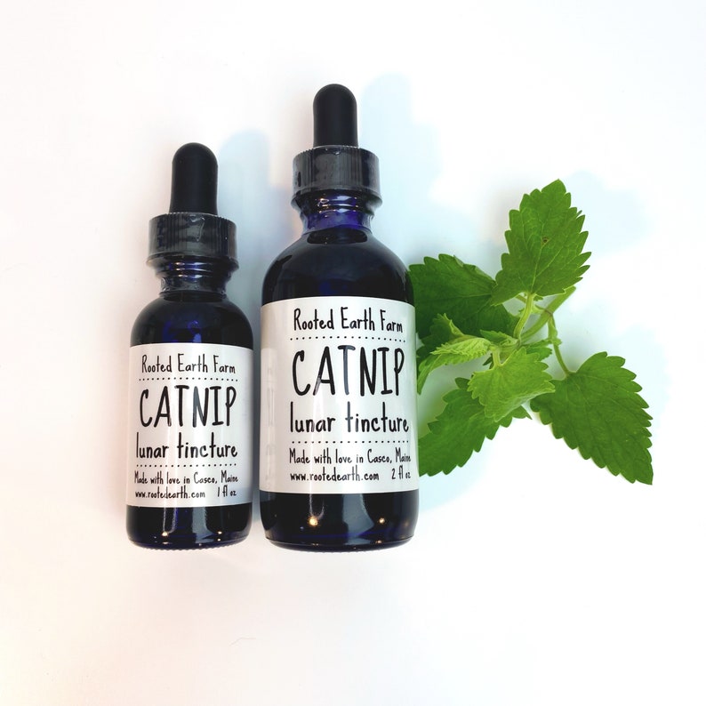 Puede incluir: Dos botellas de vidrio con goteros, ambas etiquetadas "Rooted Earth Farm Catnip Lunar Tincture". La botella m&aacute;s peque&ntilde;a es de 1 fl oz y la m&aacute;s grande de 2 fl oz. Una ramita de hojas verdes de hierba gatera est&aacute; en el fondo.