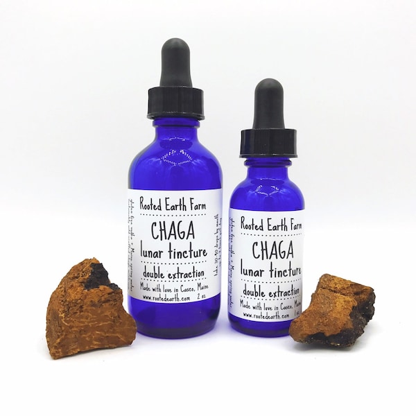 Wildcrafted Chaga Mushroom Tincture, Chaga Mushroom Extract, Maine Chaga, Double Extraction, Chaga Tincture, Inonotus obliquus