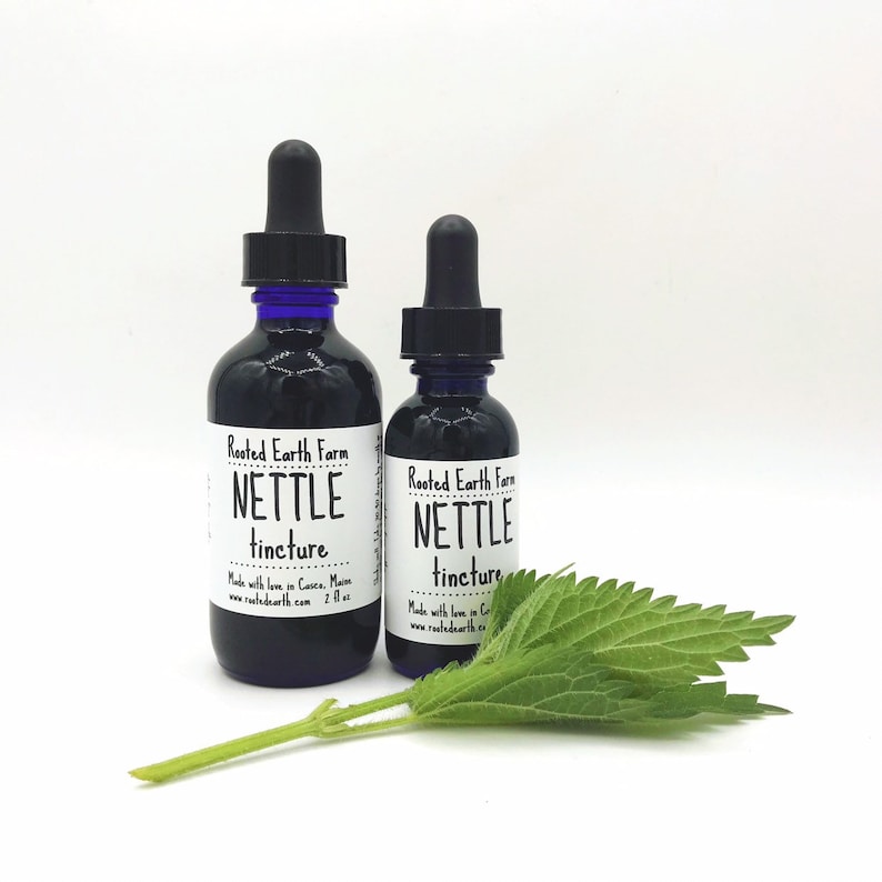 May include: Two glass bottles with blue dropper tops and white labels. The labels read "Rooted Earth Farm Nettle Tincture" and include the website address and size. A green nettle leaf is in the foreground.
