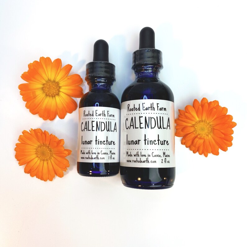 May include: Two dark blue glass bottles with dropper tops, labeled "Rooted Earth Farm Calendula Lunar Tincture". The smaller bottle is 1 fl oz and the larger bottle is 2 fl oz. The bottles are sitting on a white surface with two orange calendula flowers.