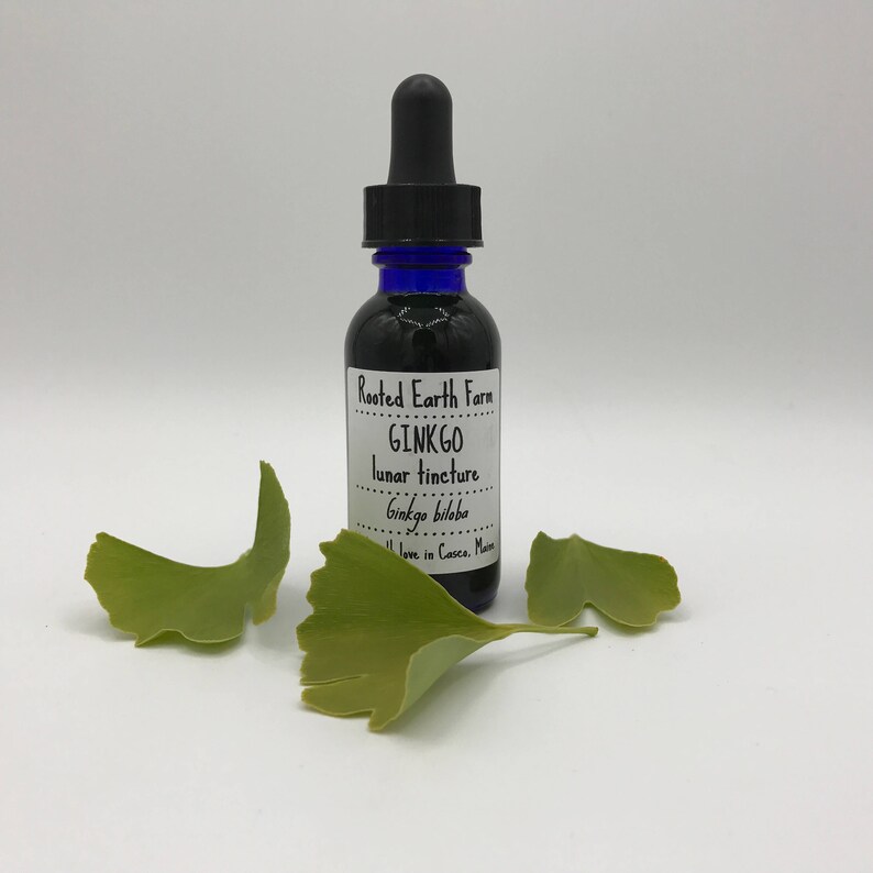 Ginkgo Tincture Ginkgo Biloba Organic Ginkgo Extract Ginkgo Etsy UK