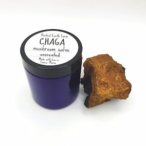 Chaga Salve, Dry Skin, Organic Skin Care, Lavender Balm, Natural Skin Care, Chaga Mushroom, Herbal Salve, Chaga Hand Cream, Chaga Lotion