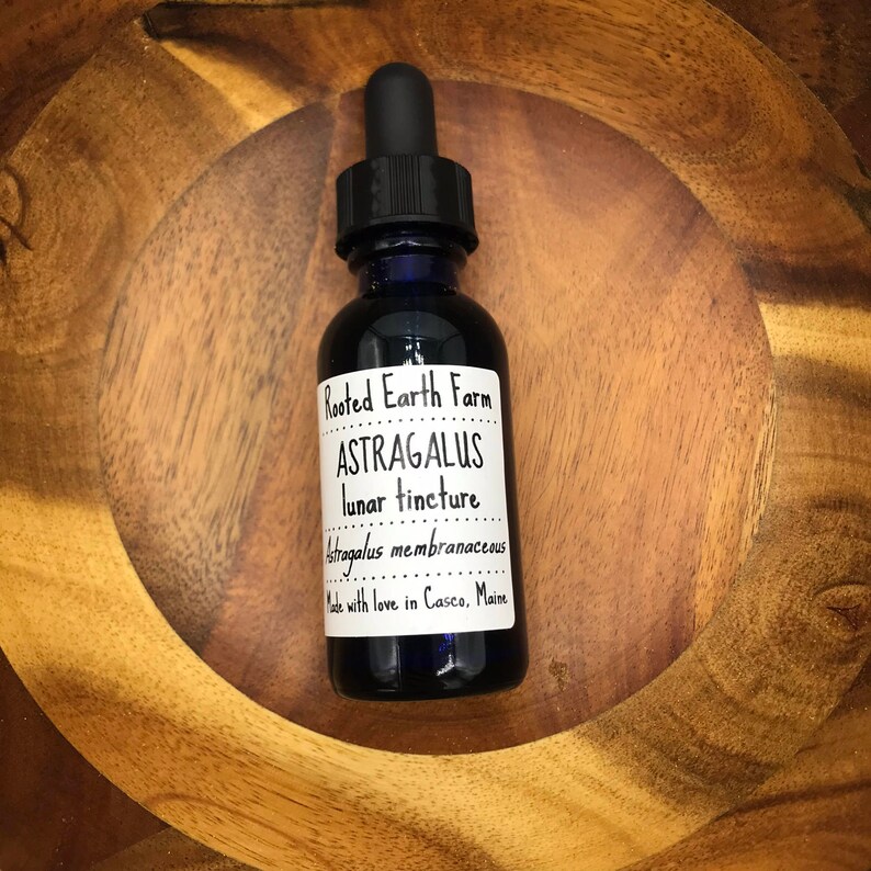 Astragalus Tincture Organic Astragalus Extract Astragalus Etsy