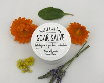 Scar Salve, Acne Scars, Injury Scars, Acne Scar, Scar Treatment, Acne Scar Cream, Scar Cream, Acne Scar Healing, Healing Salve, Tattoo Balm