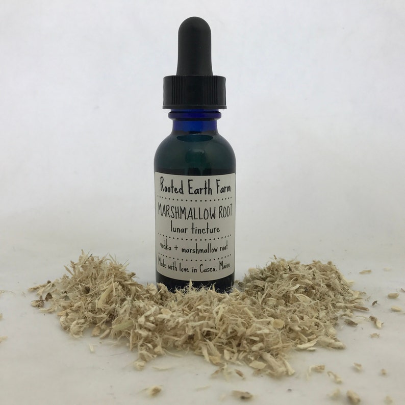 Organic Marshmallow Root Tincture Marshmallow Root Extract Etsy