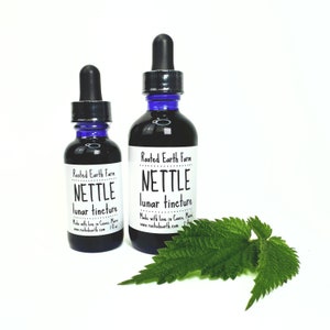 May include: Two bottles of nettle lunar tincture, one larger and one smaller, with blue dropper tops and labels that read "Rooted Earth Farm" and "NETTLE lunar tincture". The bottles are sitting on a white surface with a green nettle leaf in front of them.