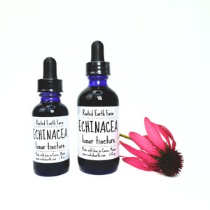 Echinacea Tincture, Organic Echinacea purpurea, Echinacea Extract, Echinacea root, Herbal Tincture, Herbal Extract