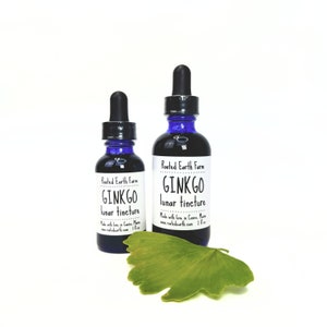 Ginkgo Tincture, Ginkgo biloba, Organic Ginkgo Extract, Ginkgo biloba Extract, Ginkgo biloba Tincture, Herbal Extract, Herbal Tincture