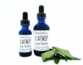 Catnip Tincture, Organic Catnip, Herbal Tincture, Organic Tincture, Catnip Extract, Herbal Extract