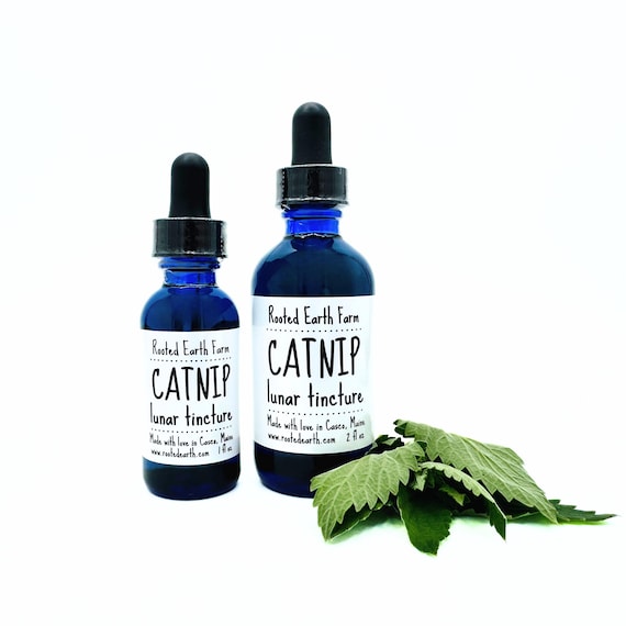 Catnip Tincture, Organic Catnip, Herbal Tincture, Organic Tincture, Catnip Extract, Herbal Extract