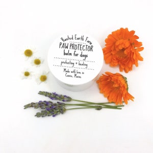 Paw Salve, Paw Balm, Paw Cream, Gifts for Dogs, Pad Moisturizer, Dry Paws, Pet Care, Dog Care, Dog Balm, Dog Skin Care