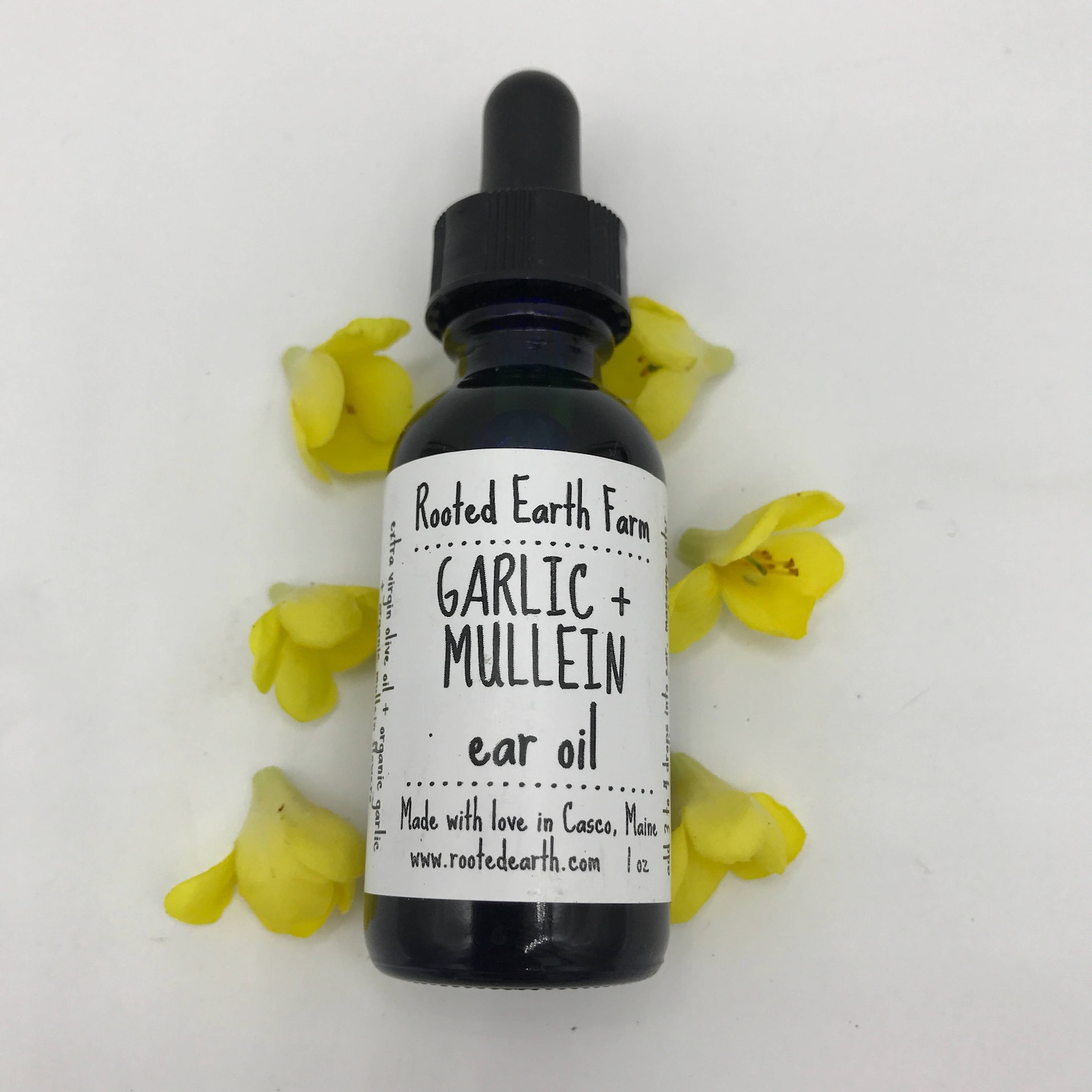 Garlic and Mullein Ear Oil Mullein Oil Garlic Ear Oil Dog Etsy
