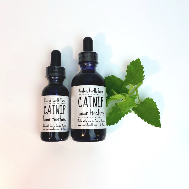 Puede incluir: Dos botellas de vidrio con goteros, ambas etiquetadas como "Rooted Earth Farm Catnip Lunar Tincture". La botella m&aacute;s peque&ntilde;a es de 1 fl oz y la m&aacute;s grande de 2 fl oz. Una ramita de hierba gatera est&aacute; en el fondo.