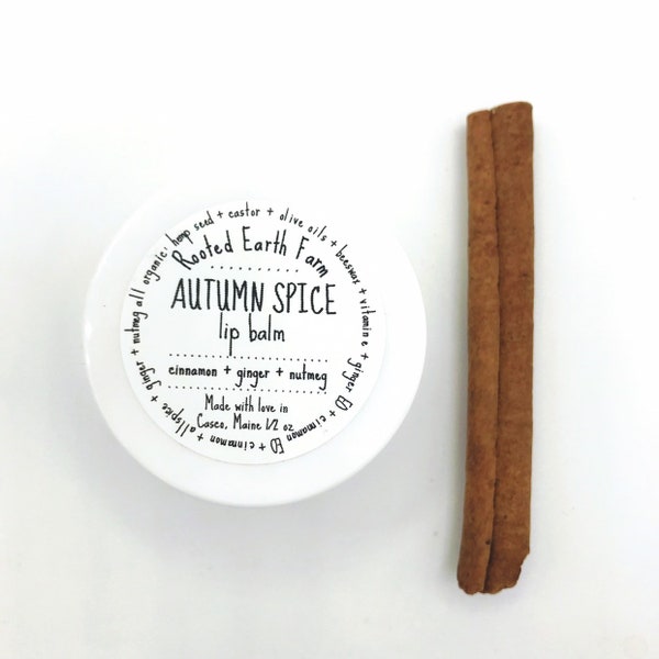 Autumn Spice Lip Balm, Fall Lip Balm, Pumpkin Spice, Herbal Lip Balm, Organic Lip Balm, Natural Lip Gloss, Handmade Lip Balm