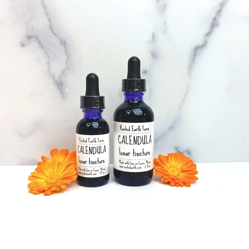 May include: Two bottles of Rooted Earth Farm Calendula lunar tincture. The bottles are dark brown glass with blue caps and white labels. The smaller bottle is 1 oz and the larger bottle is 2 oz. The bottles are sitting on a white marble surface with orange calendula flowers.