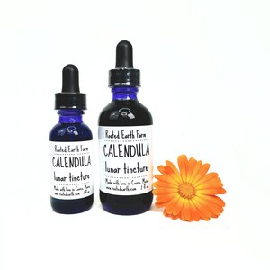 May include: Two bottles of Rooted Earth Farm Calendula lunar tincture. The smaller bottle is 1 fl oz and the larger bottle is 2 fl oz. Both bottles are blue glass with black dropper tops and white labels. A single orange calendula flower is in the foreground.
