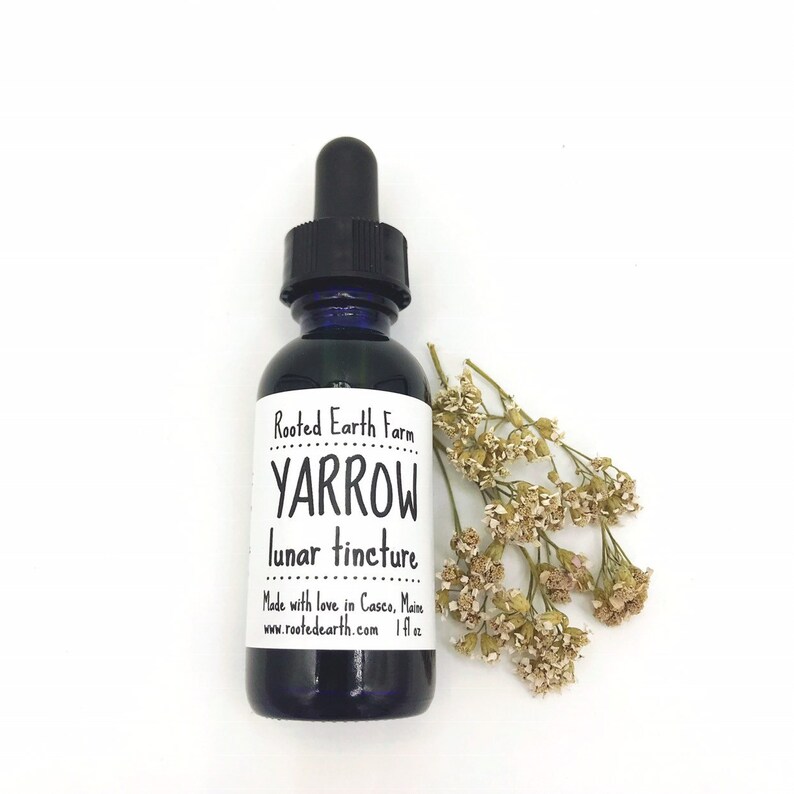 Yarrow Tincture Organic Yarrow Yarrow Extract Achillea Etsy
