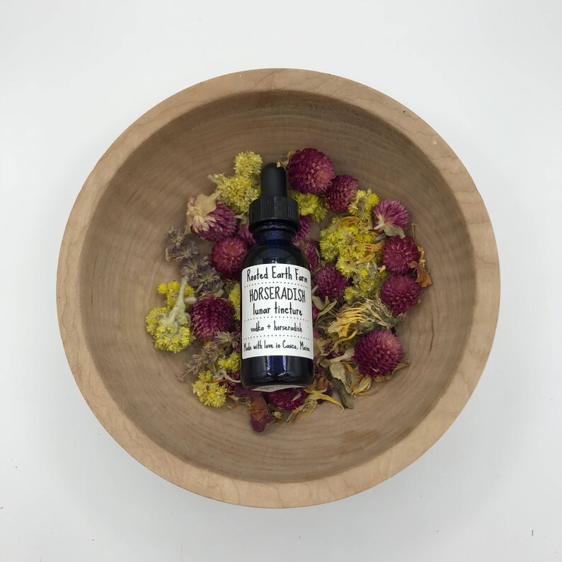 Horseradish Tincture Organic Horseradish Extract Herbal Etsy