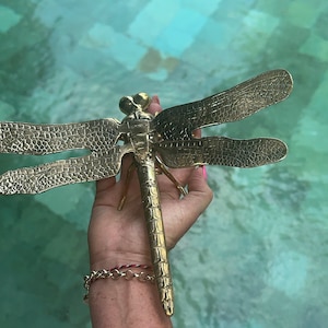 large dragonfly