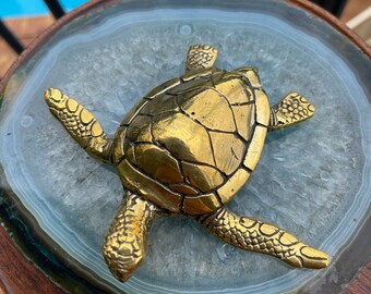 Brass  sea turtle