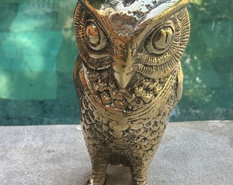 owl